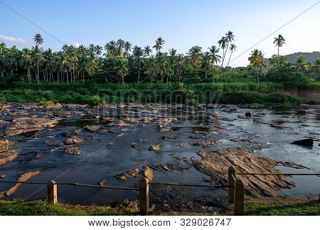 Pinnawala/ Sri Lanka: August 03- 2019: The Village Of Pinnawala. Here Is A Nursery And Captive Breed
