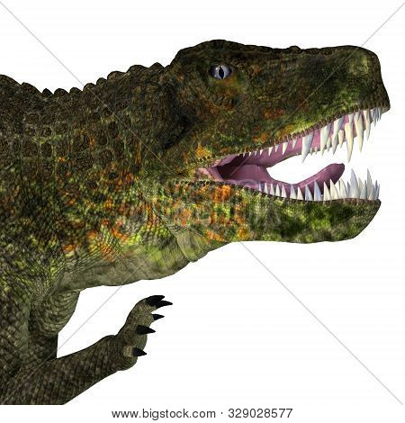 Postosuchus Reptile Head 3d Illustration - Postosuchus Was An Carnivorous Aquatic Reptile That Inhab