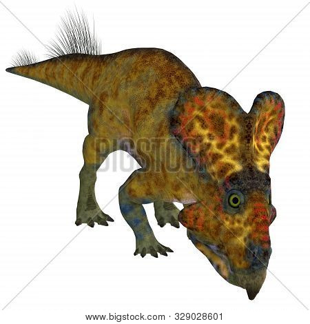 Protoceratops Male Dinosaur 3d Illustration - Protoceratops Was A Herbivorous Ceratopsian Dinosaur T