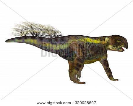 Psittacosaurus Dinosaur Tail 3d Illustration - Psittacosaurus Was A Herbivore Ceratopsian Dinosaur T