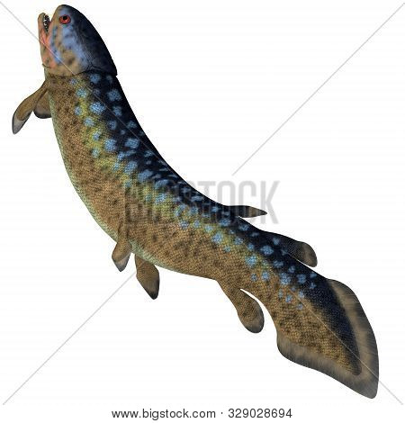 Rhizodus Fish Tail 3d Illustration - Rhizodus Was A Carnivorous Predator Fish That Lived In Freshwat