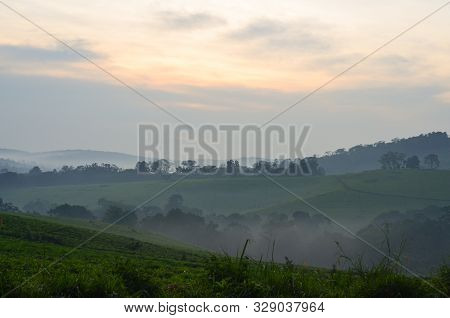 The Sun Rises Over Tea Plantations In Kibale, Uganda, Africa; Fog And Landscape View