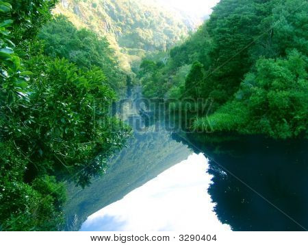 Natur refleksion
