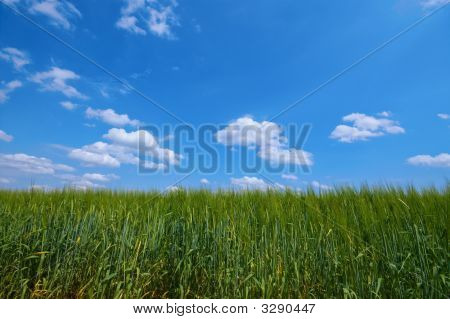 Vert et bleu