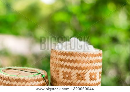 White Silk Cocoon In Kratib Glutinous Rice On Nature Background