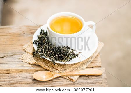 Dry Gynostemma Pentaphyllum Leaf With Brewed Tea In A White Cup On The Wood Floor
