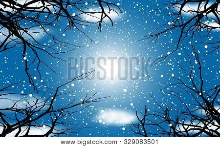 Skyscape Of Snowfall In The Forest In Day Time