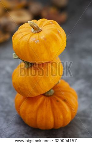 Autumn Background With Pumpkins On Dark Board. Halloween, Thanksgiving Orange Little Pumpkins.