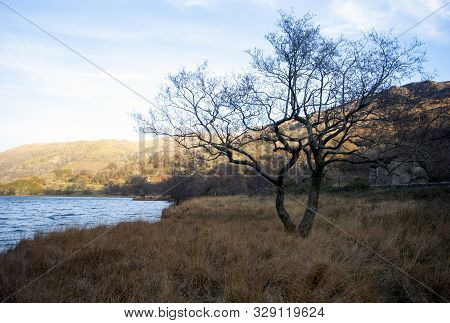 Wales - Snowdonia National Park.  A Winters Day. Trees, Hill And Lake.