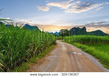 Sugar Field And Mountains With Sunset