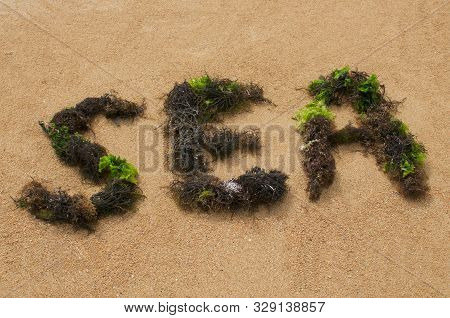 Sea Text Composed With Brown And Green Seaweed At Sanur Beach In Bali, Indonesia