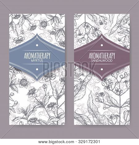 Two Labels With Common Myrtle Aka Myrtus Communis And Indian Sandalwood Aka Santalum Album Sketch On
