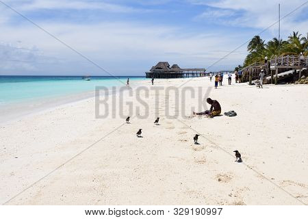 Kendwa, Tanzania - October 3, 2019: Local  Man Carving A Freshly Caught Octopus On The Beach. Kendwa
