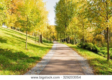 The Path Leads In One Directions. The Way To The Autumn Park In The Centre Of The Forest.