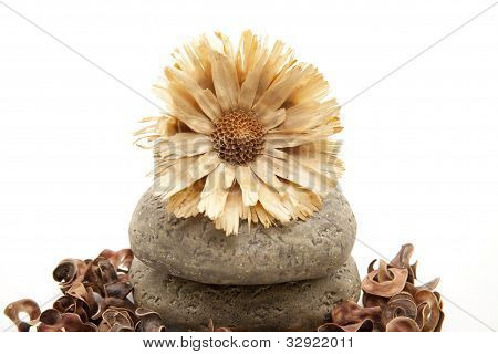 Pedras e flor de madeira