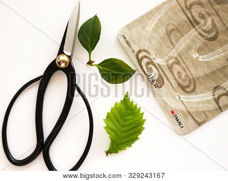 GOMEL, BELARUS - OCTOBER 21, 2019: Takagi Stainless Garden scissors for bonsai. The Japanese company TAKAGI Co.Ltd produces and sells construction tools, household tools, power tools, garden supplies.
