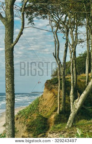 Trees On The High Baltic Shore Near Ustka, Below The Sea And A Paraglider Flying Over The Beach