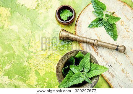 Melissa Leaf Or Lemon Balm