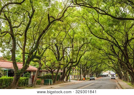 Nantou, Taiwan - June 25th, 2019: street scenery with old house and trees at Zhongxing New Village, Nantou, Taiwan