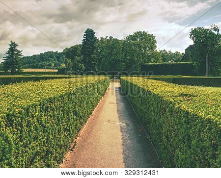 Hedge In Old Castle Garden Cut As Labyrinth. Fresh Green Buxus Leaves In The Garden. Buxus Sempervir