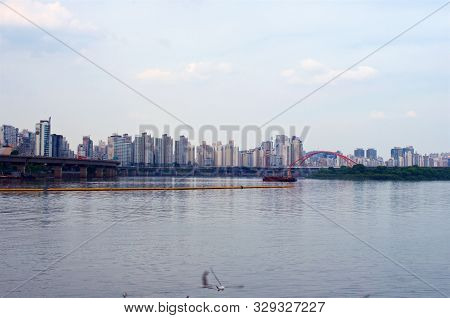 Hang River In Seoul In The Evening With Seagulls