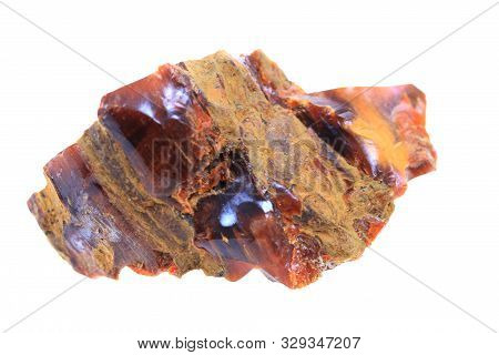 Wooden Opalite Mineral Isolated
