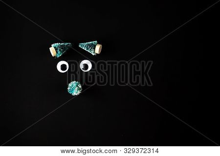 Funny Face Made From Jiggly Eyes And Little Fir Tree On Black Background