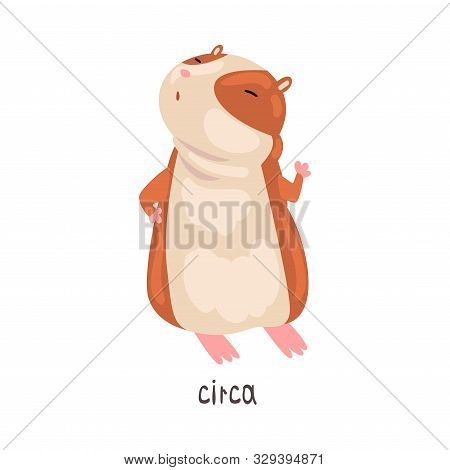 Circa English Language Preposition Of Place And Cute Hamster Character, Educational Visual Material 