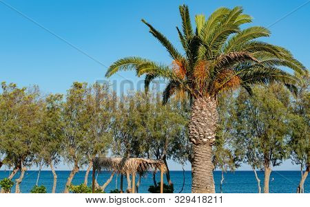 Mediterranean Sea In Horizon In The South On The Island Of Kos Greece