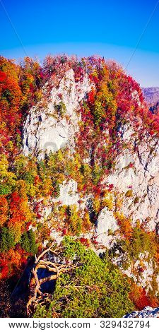 Autumn In Buila Vanturarita, Carpathian Mountains, Romania. Vivid Fall Colors In Forest. Scenery Of 