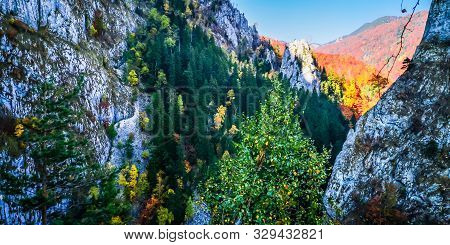 Autumn In Buila Vanturarita, Carpathian Mountains, Romania. Vivid Fall Colors In Forest. Scenery Of 