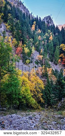 Autumn In Buila Vanturarita, Carpathian Mountains, Romania. Vivid Fall Colors In Forest. Scenery Of 