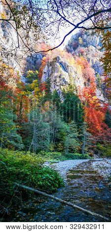 Autumn In Buila Vanturarita, Carpathian Mountains, Romania. Vivid Fall Colors In Forest. Scenery Of 