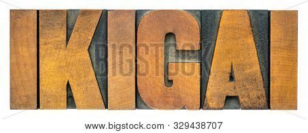 ikigai - Japanese concept  of a reason for being or a reason to wake up - isolated word abstract in vintage wood type