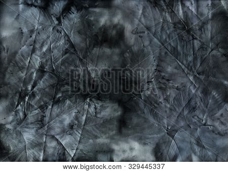 Ecoprint Leaves. Imprint Of A Real Plant On Paper. Vintage Background. Black Color.