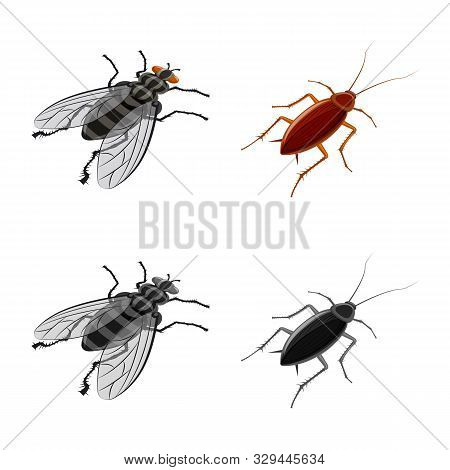 Vector Design Of Nature And Wildlife Logo. Set Of Nature And Wing Vector Icon For Stock.