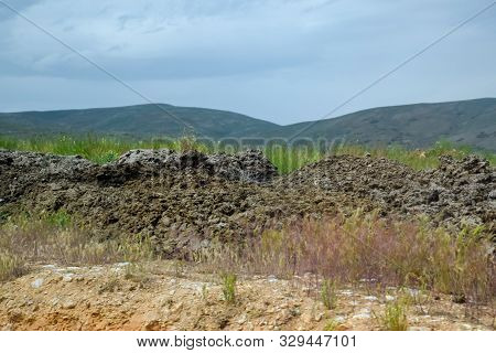 Piles Of Manure In The Field. Cow And Horse Manure With Land.