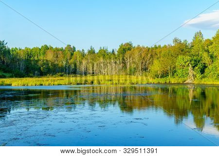 View Of Trees And Waterscape Near Baddeck, Cape Breton Island, Nova Scotia, Canada