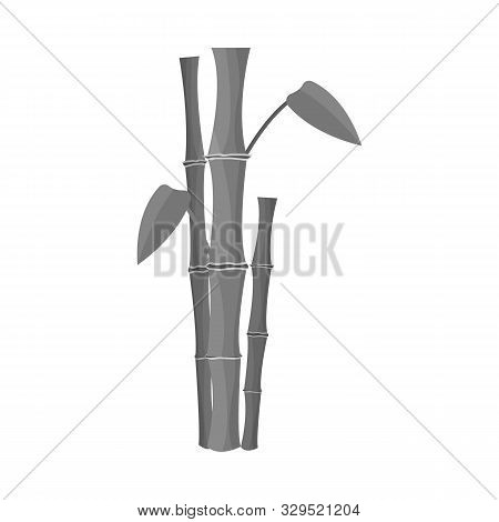 Vector Illustration Of Bamboo And Tree Icon. Collection Of Bamboo And Green Stock Vector Illustratio