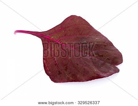 Closeup Red Spinach Isolated On White Background