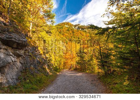 Mountain Landscape In Autumn Sunny Day. Hiking Trail Through Kvacianska Valley, Slovakia, Europe.