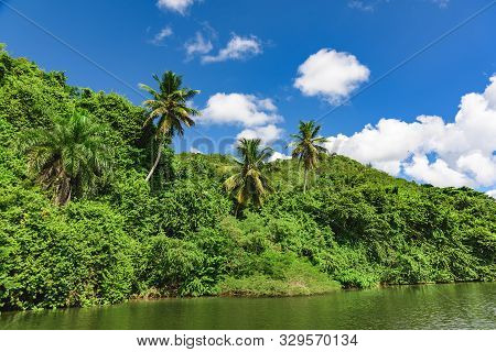 Chevon River Dominican Republic