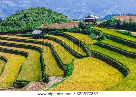 Landscape View Of Rice Fields In Mu Cang Chai District, Vietnam