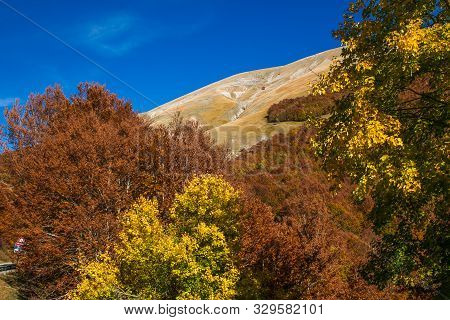 Autumn In Abruzzo. Passo Godi Is A Mountain Area, Located Near The Pass Of Monte Godi In The Central