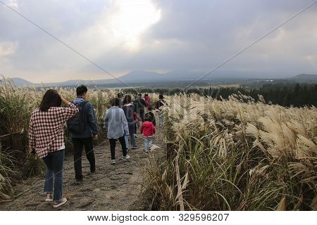 Tourists Go Along The Road To Sangumburi Crater, Jeju Island, South Korea