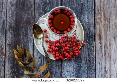 Hot Healing Tea, Mountain Ash Tea. Applied With A Lack Of Vitamins, Anemia, Metabolic Disorders. Red