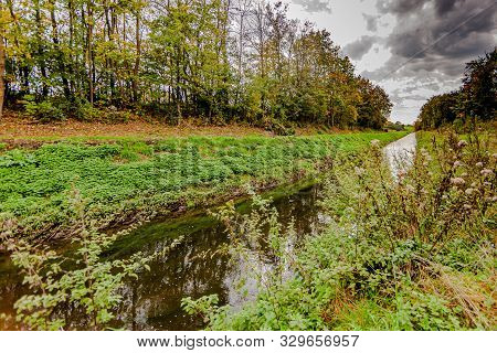 Vegetation, Trees And A Stream In A Nature Reserve On A Cloudy Day, At The Beginning Of Autumn In Sc