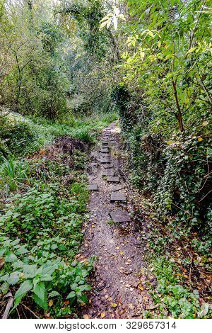 Narrow Dirt Path With Stones Between Trees And Vegetation In The Forest, Day At The Beginning Of The