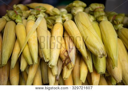 Stall Of Boiled Corn For Sell In The Market