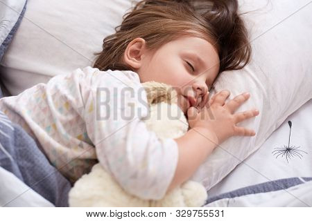 Indoor Shot Of Pretty Little Girl Hugging White Soft Dog Toy While Sleeping In Bed At Home, Child Sp